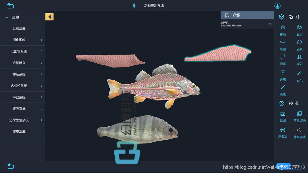 动物解剖三维仿真vr动物药学实训软件 河南幻境科技 程序员信息网 程序员信息网 动物解剖三维仿真vr动物药学实训软件 河南幻境科技 程序员信息网 程序员信息网