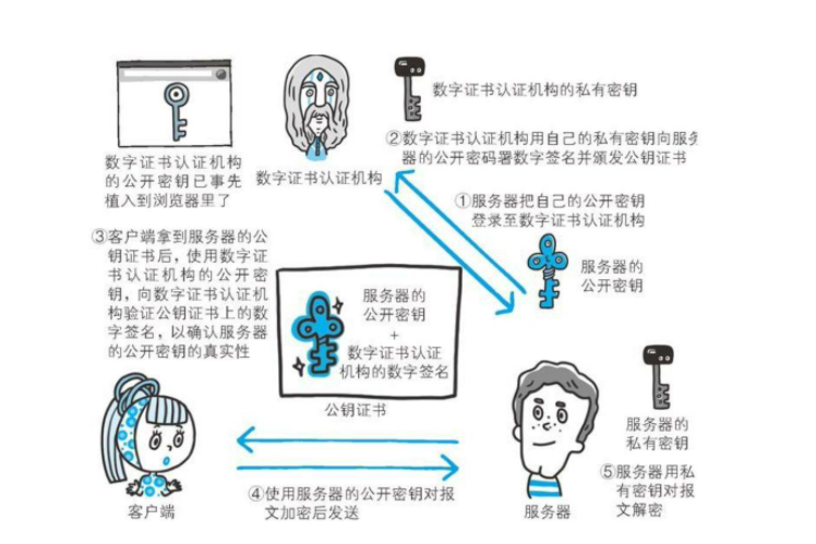 2021秋招，社招面试题之  HTTP和HTTPS协议