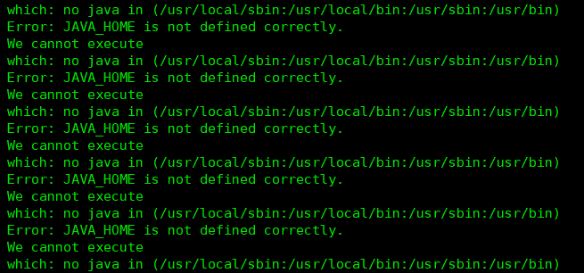 which: no java in (/usr/local/sbin:/usr/local/bin:/usr/sbin:/usr/bin)