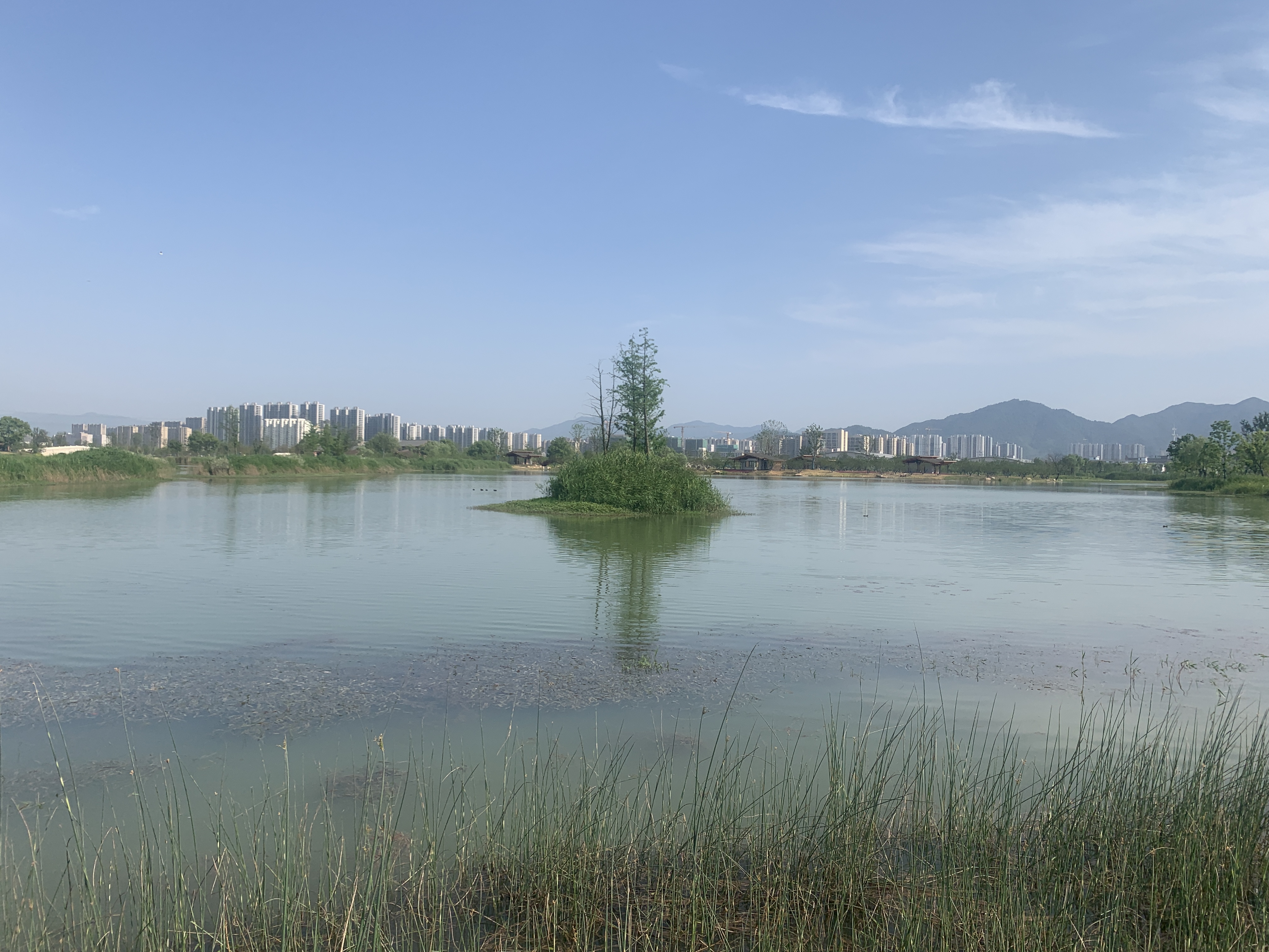 富阳阳陂湖湿地公园图片