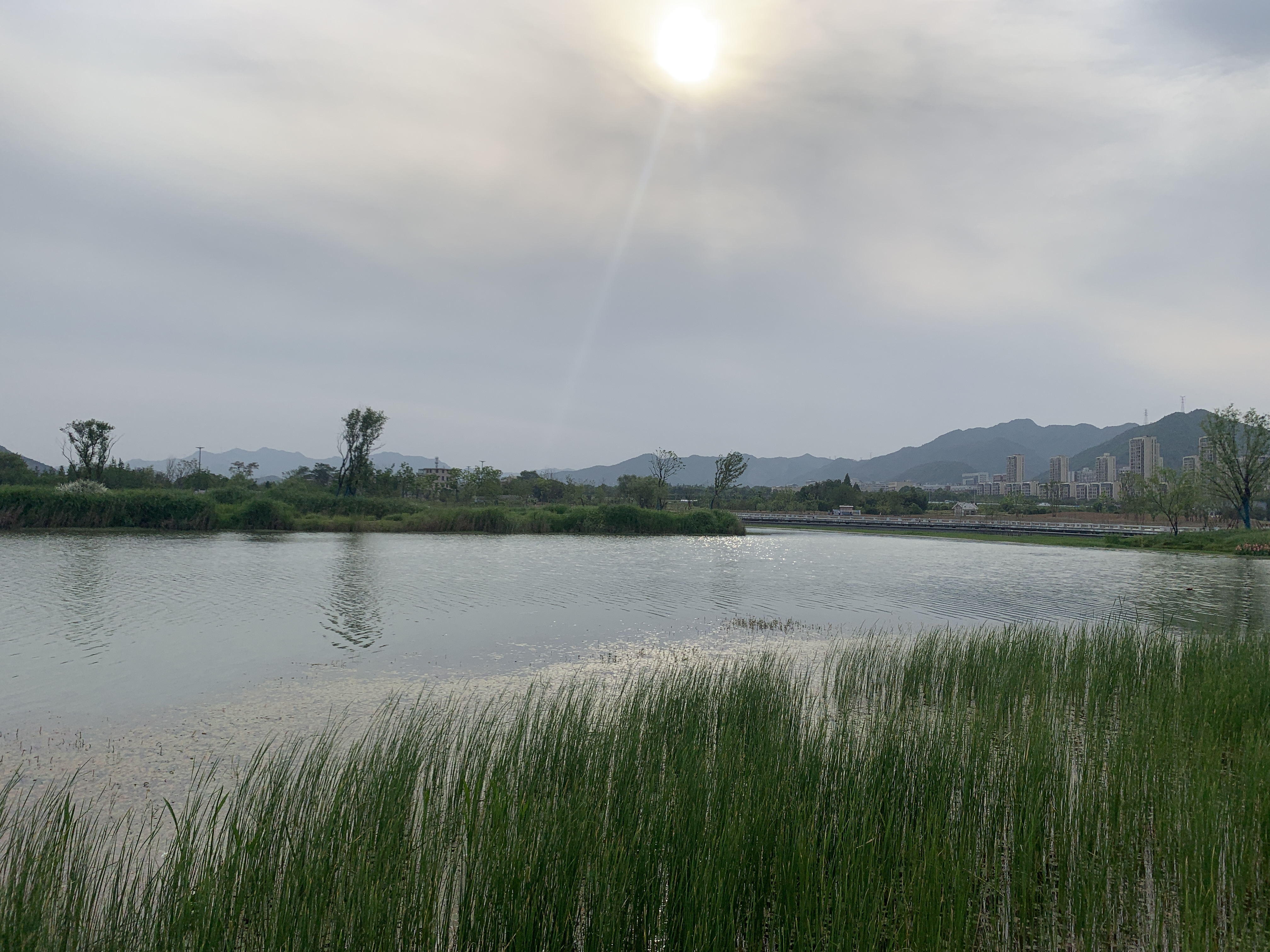 富阳阳陂湖湿地公园图片
