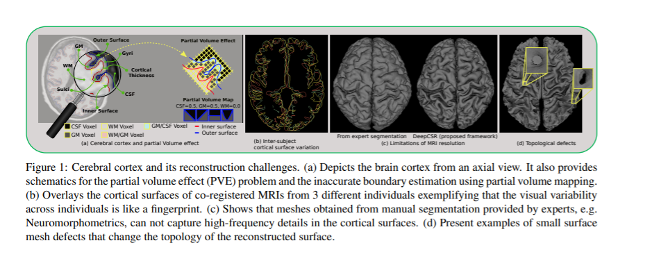 (图像分类)deepcsr: a 3d deep learning approach for cortical