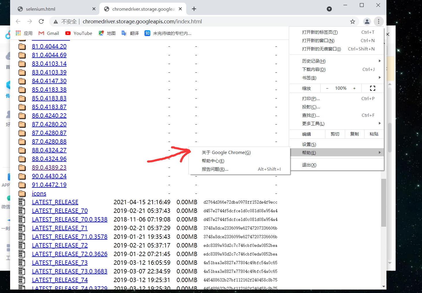 selenium安装和下载_selenium4下载CSDN博客