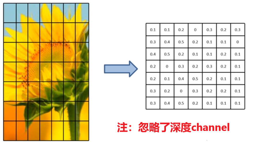 ROI原理