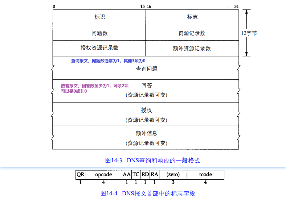 【tcp