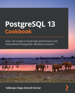 【2021年新书推荐】PostgreSQL 13 Cookbook