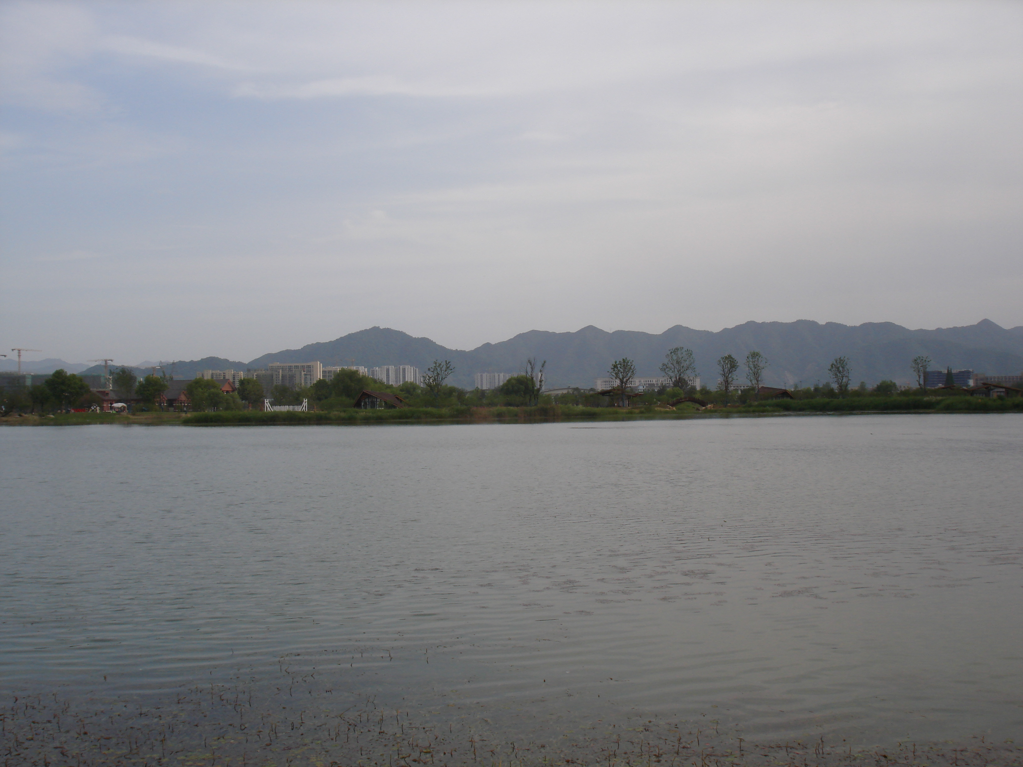 杭州陽陂湖溼地公園遊覽攻略_富陽陽波湖溼地公園地鐵如何走-csdn博客