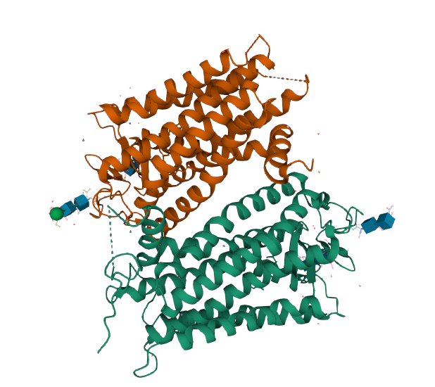蛋白质结构预测
