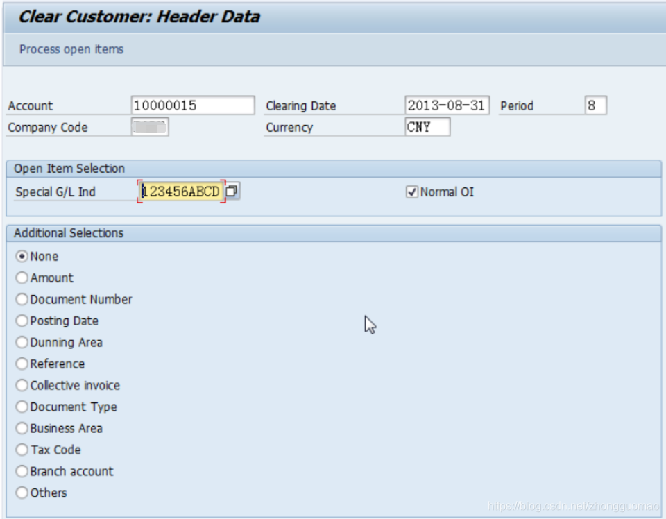 FI sap SAP CSDN fi-sap-sap-csdn