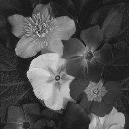 itk:从灰度图像计算直方图_源代码大师的博客-csdn博客