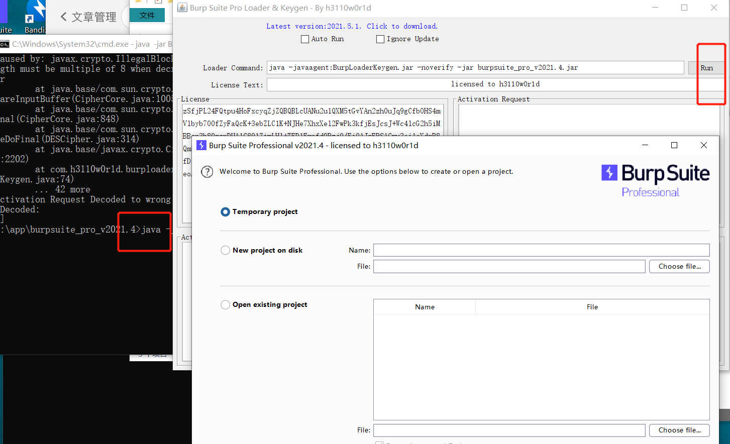 burp suite pro version