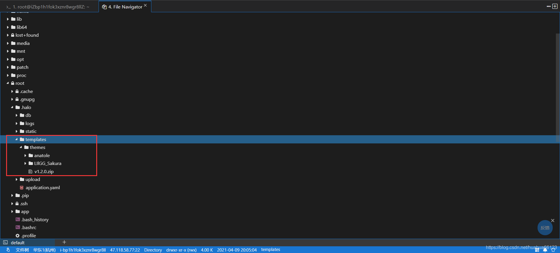 在这里插入图片描述