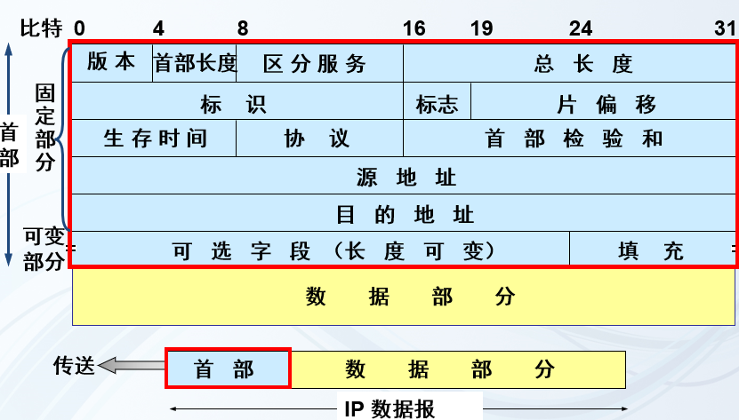 IP数据报格式