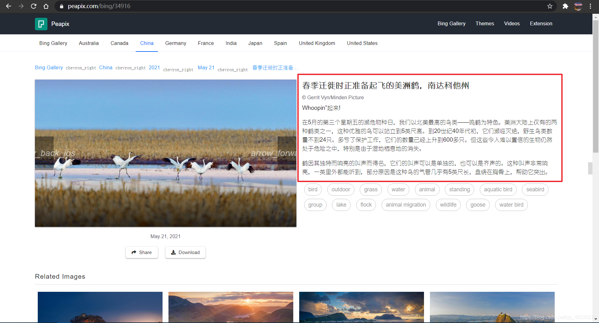 Python必应壁纸爬取系列(二):Bing唯美壁纸太多不知道选哪个?Python五行代码随机帮你挑选必应唯美屏保壁纸图片_必应随机图片api ...