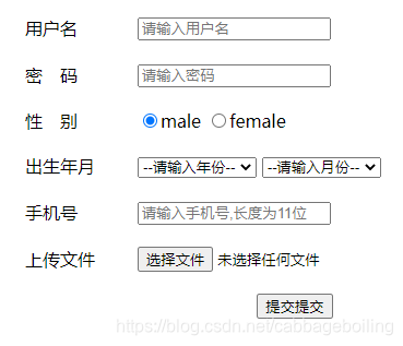 Html 表单域和input的type属性的常用属性值 Cabbageboiling的博客 Csdn博客