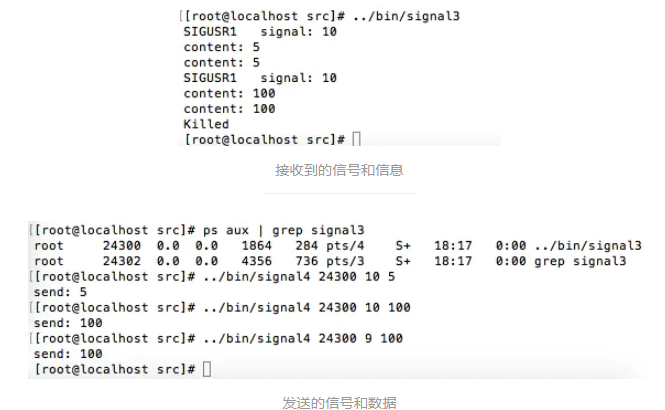 Linux 信号signal\sigaction