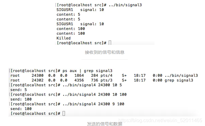 Linux 信号signal\sigaction