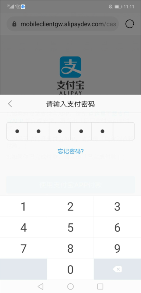 支付功能手机怎么开通_支付功能手机有哪些_手机支付功能
