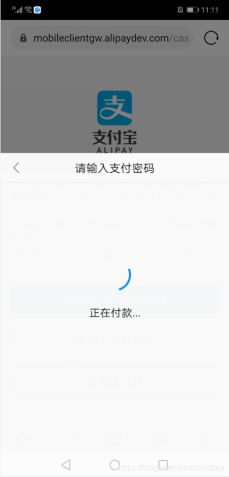支付功能手机有哪些_支付功能手机怎么开通_手机支付功能
