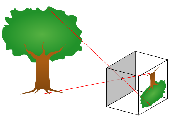 几何畸变校正_鱼眼镜头 畸变校正ps_畸变校正