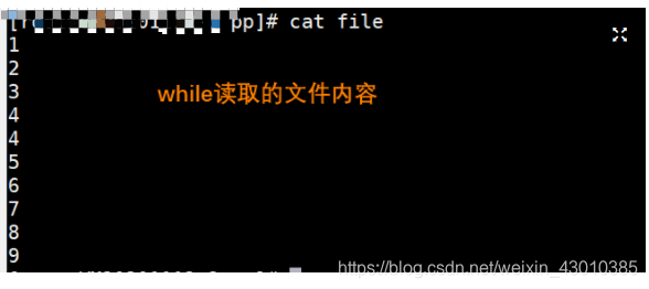 Shell之循环中加法失效情况 5nobody的博客 Csdn博客 Shell之循环中加法失效情况 Shell之循环中加法失效情况 5nobody的博客 Csdn博客 Shell之循环中加法失效情况