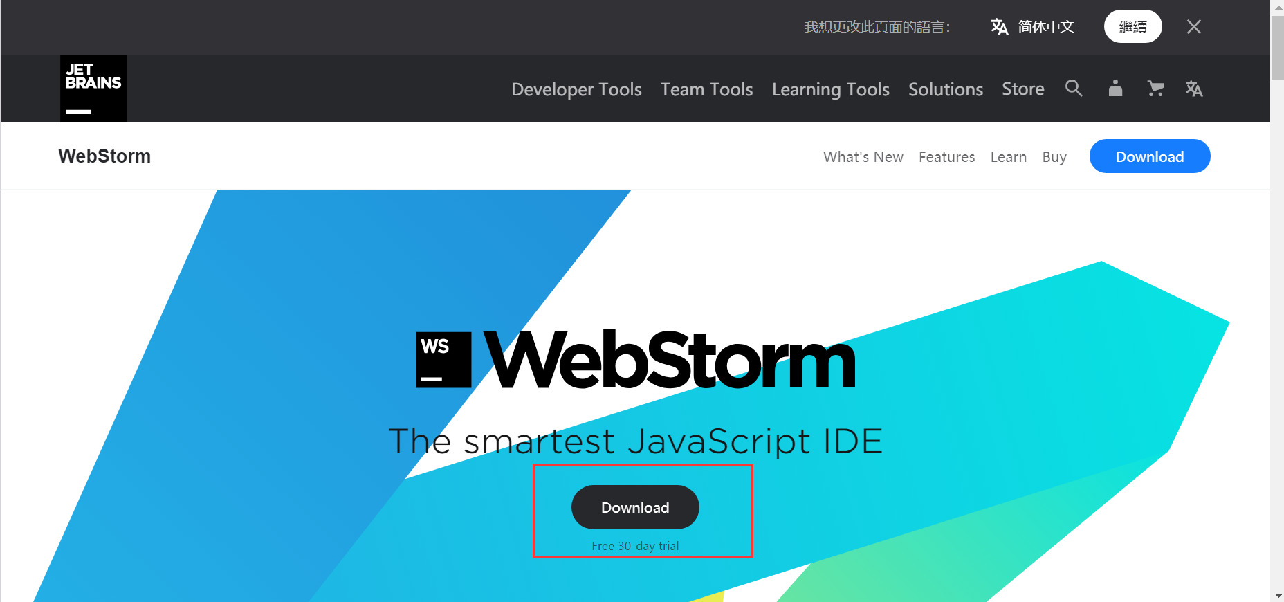 jetbrains webstorm 2021