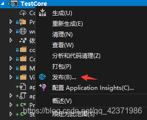 右击TestCore点击发布