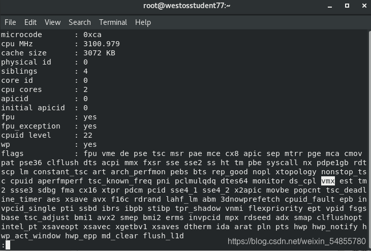 Linux Hygon LHT313 CSDN