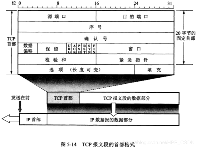 TCP报文段