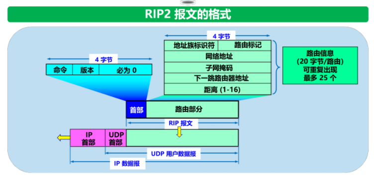 RIP报文格式