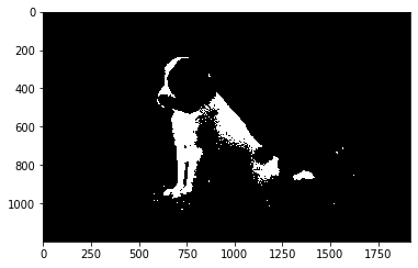 图像的灰度化二值化