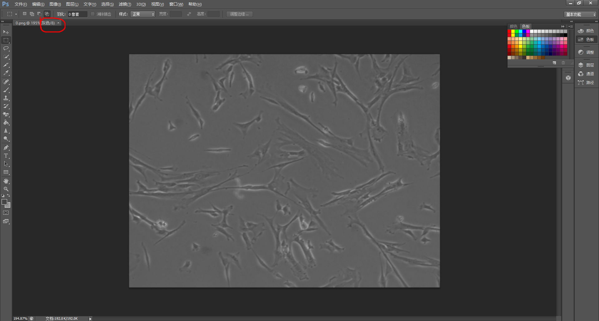 个人记录 如何使用photoshop Ps Labelme和labelimg做数据集标注 Lch的博客 Csdn博客