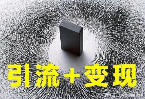 很多人都是不缺项目,缺流量,更缺长期获取流量的手段.