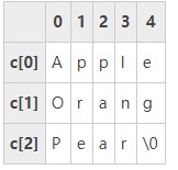 two dimensional arry of stings  is  separated by branches