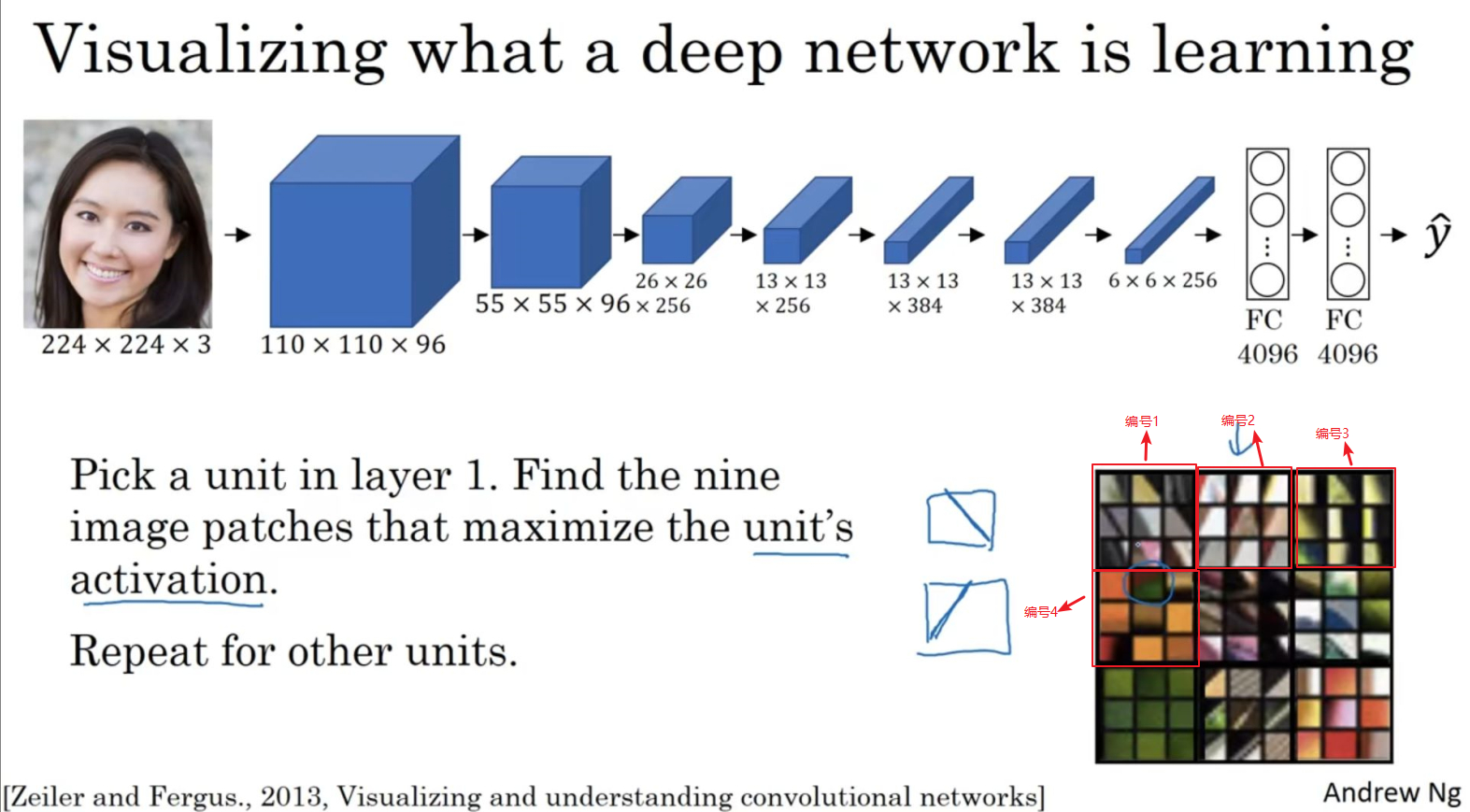 深度卷积网络学习什么？（What are deep ConvNets learning?）-可视化_deepconvnet-CSDN博客