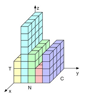 我认为其中最大的不同之处就是序列数据的长度和图像数据的尺寸是不
