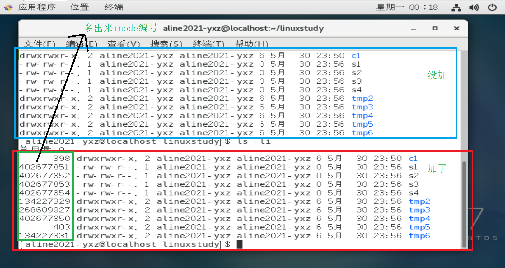 Linux basic directory management commands ls, cd, pwd, mkdir, rmdir ...