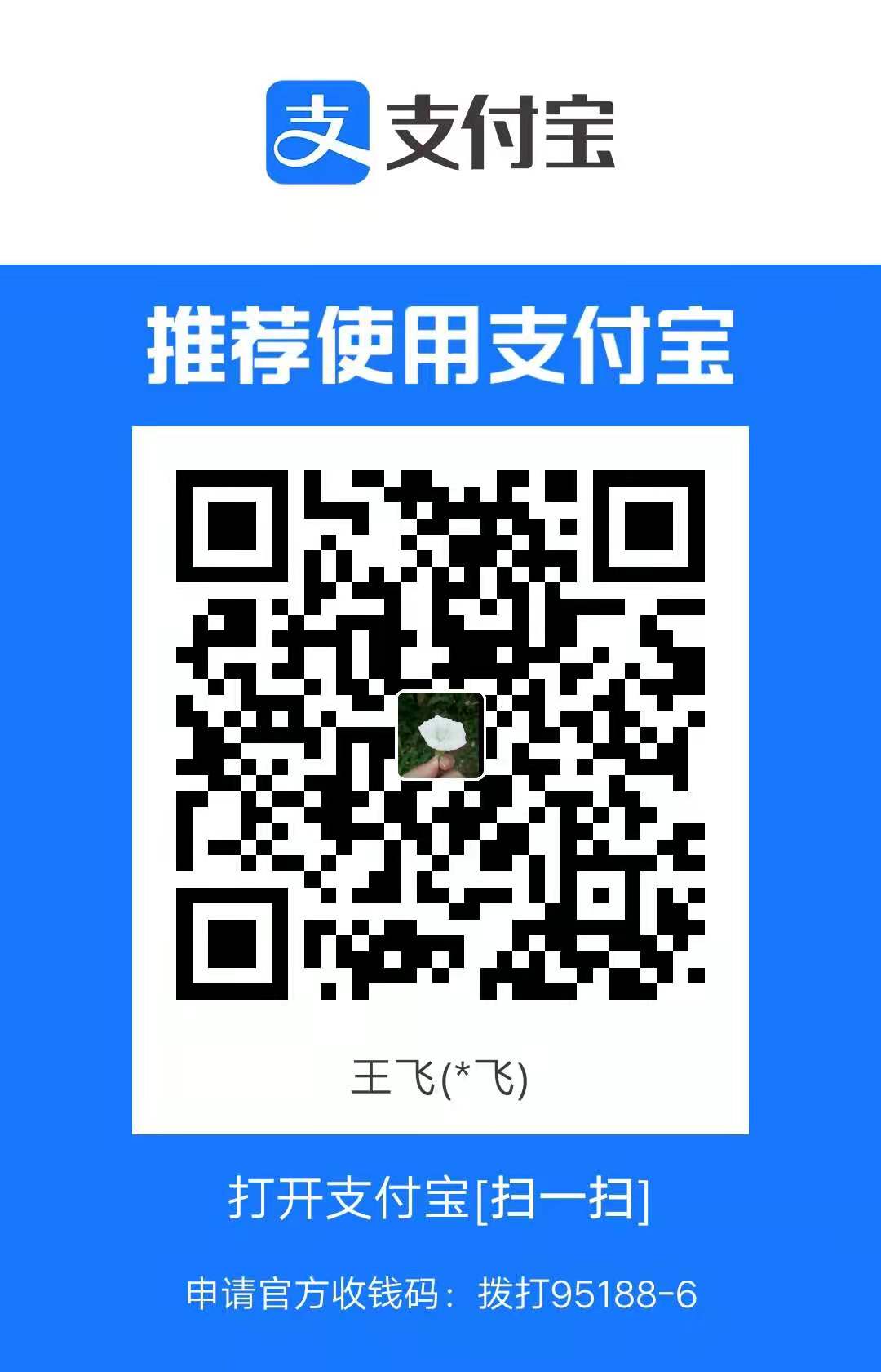 alipay-code