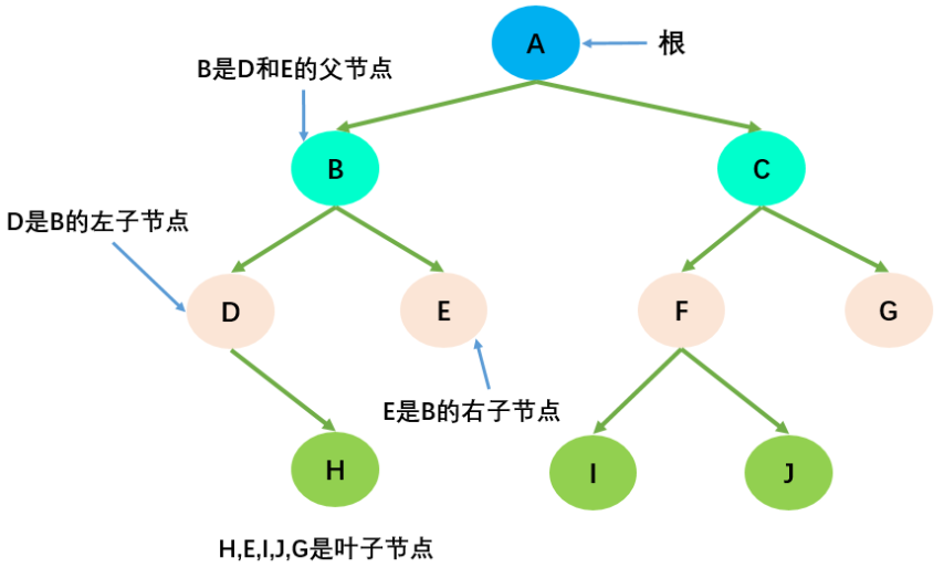 算法中的树结构_树状结构的优缺点-CSDN博客