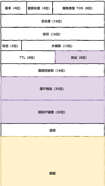 IP包头