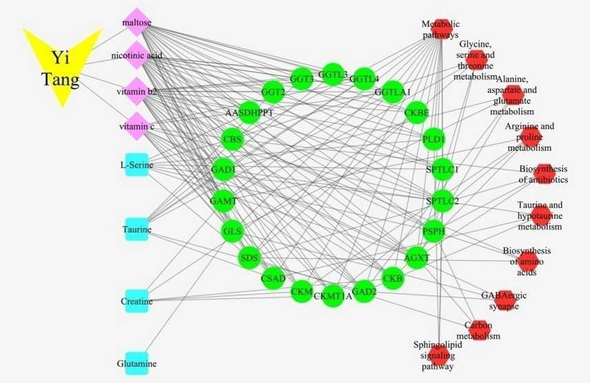 代谢组学数据分析及网络药理学研究技术与实践_metscape绘制关系网络图_Angus_1的博客-CSDN博客