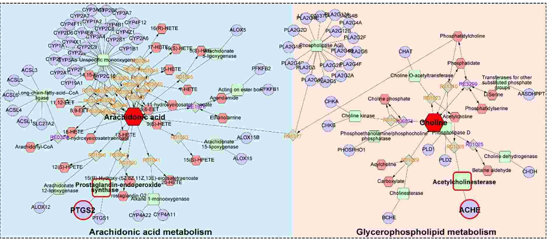 代谢组学数据分析及网络药理学研究技术与实践