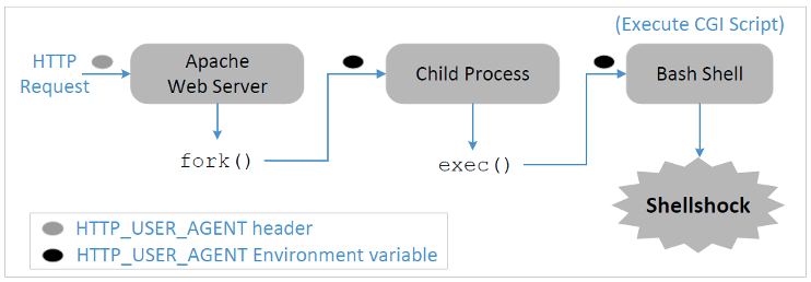 seed-labs 软件部分-shellshock