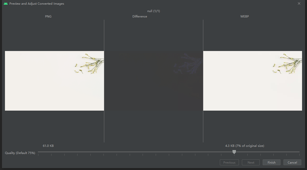 WebP04