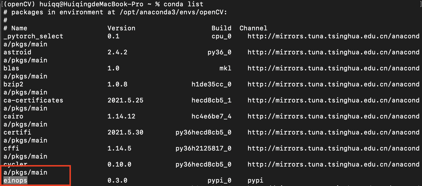 Mac环境下在Anaconda特定环境中安装einops