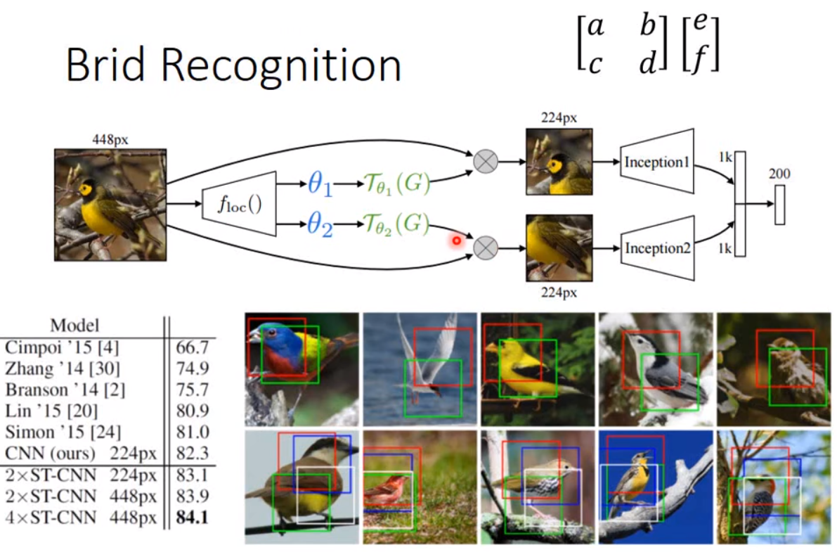 STN(Spatial Transformer Networks)