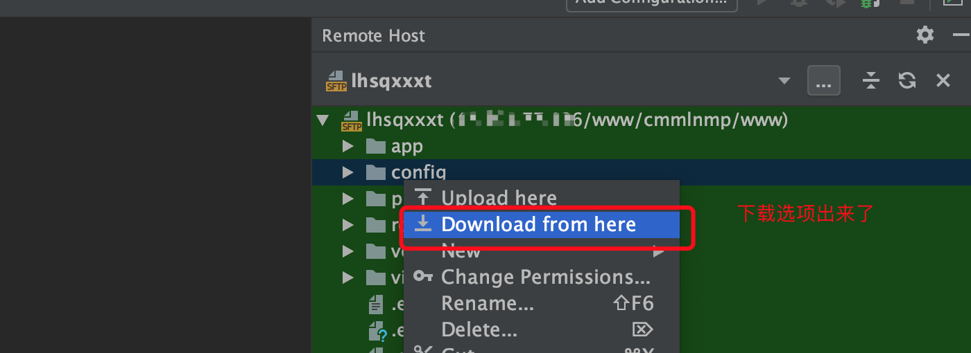 phpstorm 下载远程代码提示 No files or folders found to process_phpstrom ftp no