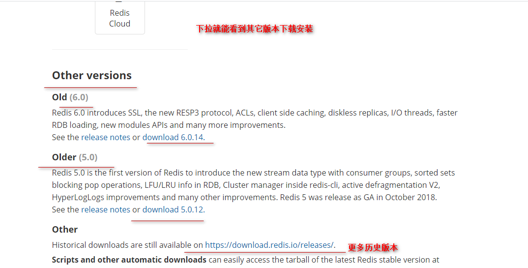 Linux Centos 8 安装redis最新版6 2 4 超全图文教程以及开机自启动 山山河川的博客 程序员资料 程序员资料