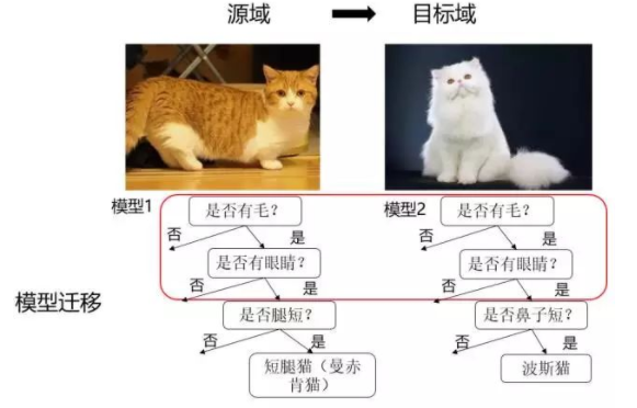 迁移学习---举一反三