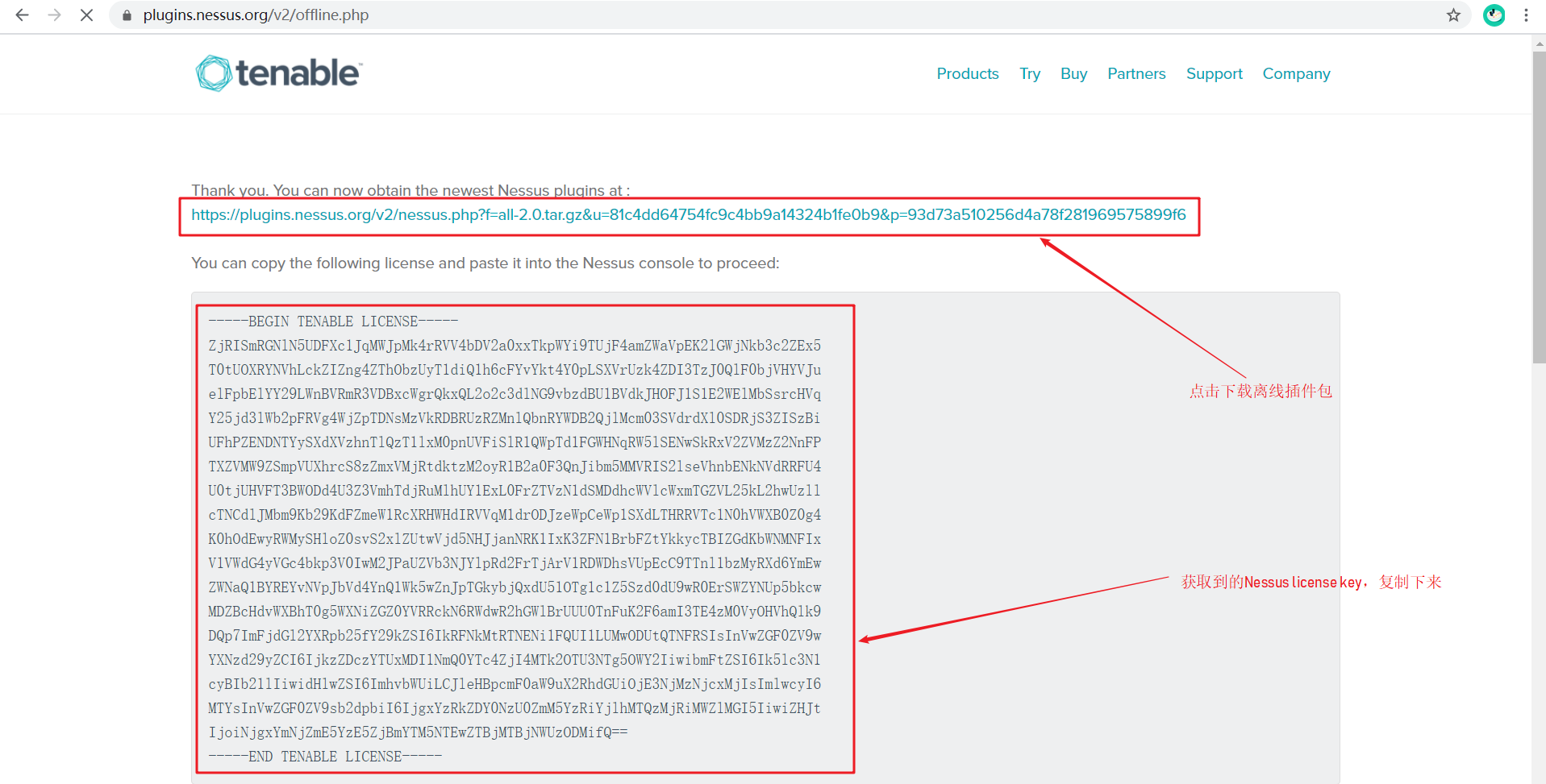 Nessus漏扫工具的安装与使用（Windows与Linux）_nessus license keyCSDN博客
